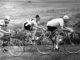 Vittorio Adorni samen met Italo Zilioli en Jacques Anquetil