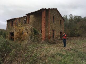 De ruïne in Mongiovino