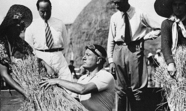 Mussolini helpt bij de graanoogst