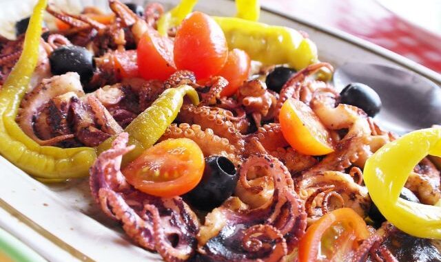 octopus