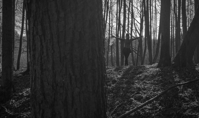 Valtellina forest